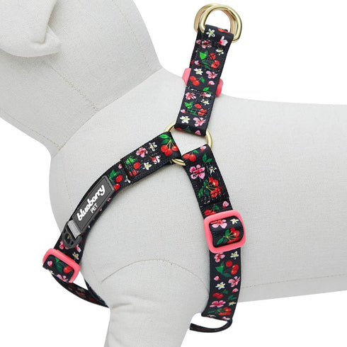 Blueberry Pet Step-in Cherry Garden Black Dog Harness, Chest Girth 20" - 26", Medium, Adjustable Harnesses