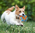 WishLotus 5.9 Inch Snuffle Ball for Dogs, Colorful Sniffing Training Toy for Small Dogs & Natural Foraging