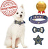 Blueberry Pet Adjustable Dog Collar with Metal Buckle and 2 Detachable Bowtie, Blue Asymmetric Stripe
