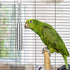 Hypeety Stainless Steel Bell Bird Toys Chew Toy for Parrot, Macaw, Heavy Duty Bird Cage Stand Toys