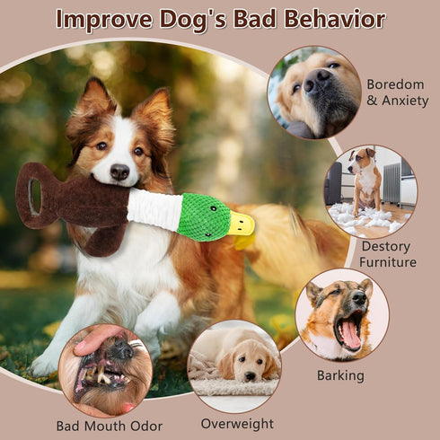 Duck Stuffed Squeaky Dog Chew Toy - Plush Dog Toys for Large Dogs, Interactive Pull Tug of War for Medium Small