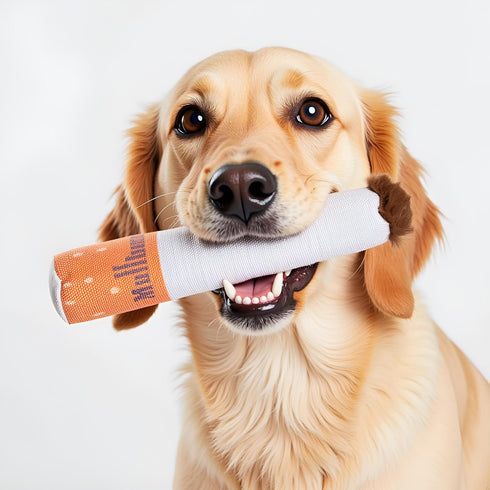 Nestpark Muttboro Doggy Cigs Funny Dog Toys - Parody Plush Squeaky Crinkle Interactive Dog Toy - Hide and Seek Treat