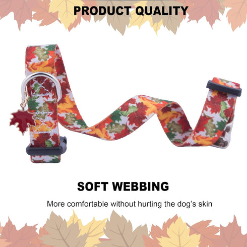 ADOGGYGO Fall Dog Collar, Adjustable Thanksgiving Collars with Soft Fall Leaves for Small Medium Large Dogs (Medium,