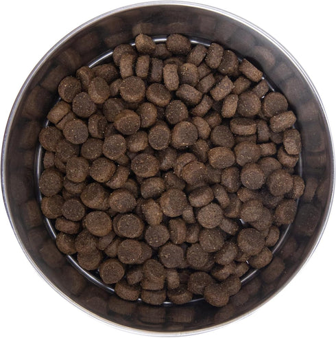 Health Extension Dry Dog Food - Natural Food for Puppies & Dogs with Added Vitamins, Lamb & Brown Rice Recipe (1 Lb)
