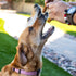 Loving Pets Natural Value Duck Sausages - Soft Jerky Dog Treats for Large & Small Breeds - Healthy Gluten, Wheat, Soy