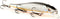 Snappr Natural Robotic Swimming Lure, Mega 117mm, Rechargeable LED Light for Bass Fishing