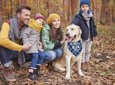 Dog Bandana, Therapy Dog Please Pet Me with Hearts, Classical Plaid Printing, Pet Scarf Accessories, Gift, Dog Bandana
