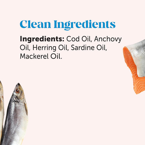 PetHonesty Omega 3 Fish Oil Supplement for Dogs & Cats (32oz) - Wild Caught for Skin, Coat, Immunity, Joint, Brain &