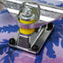 Wilver Complete Skateboards, 31 inches for Beginners, Teens, Girls, Boys, Kids, Adults, Maple Wood
