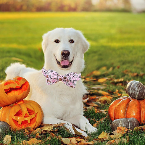 Lionheart glory Halloween Dog Collar with Pink Bowtie, Adjustable Pet Collar for Small Dogs and Puppies