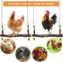 Chicken Bird Swing,Chicken Perch,Natural Wooden Swing Toys,Wood Stand for Chick,Safe and Relief of Stress,Chicken Coop
