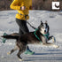 RC Pets Bungee Active Dog Leash, Hands-free 4-in-1 Dog Leash, Arctic Blue/Teal