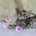 Zickupy 2 Piece Light Up Cat Balls, Multi-Color Flash LED Motion Activated Glowing Cat Balls for Kitten Dog Pet Running