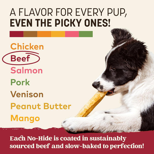 2 Count Earth Animal No Hide Chews - Long Lasting Rawhide Free Medium Dog Chews Rolls, Beef