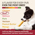 2 Count Earth Animal No Hide Chews - Long Lasting Rawhide Free Medium Dog Chews Rolls, Beef
