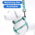 Pawtitas 6 FT Dog Leash - Solid Color Training Leash for Extra Small Dogs or Cats, Teal
