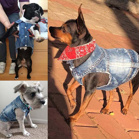 Dog Jean Jacket, Blue Denim Lapel Vest Coat Costume for Small Medium Dogs and Cats (L)