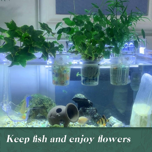 Upgrade Acrylic Aquarium Plant Holder, Hanging Aquatic Plant Holder with Adjustable Suction Cup