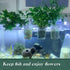 Upgrade Acrylic Aquarium Plant Holder, Hanging Aquatic Plant Holder with Adjustable Suction Cup