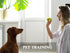 Squeaky Tennis Balls for Dogs, Colorful Easy Catching Pet Balls, 4 Pack (2.5 Inch Yellow)
