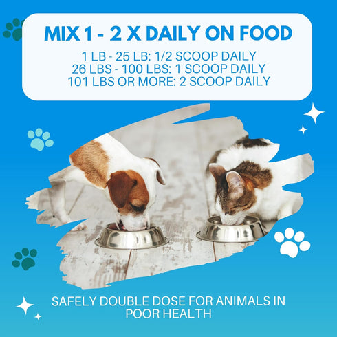 Bio-Active Bovine Colostrum for Dogs, Cats, Puppies & Kittens, Daily Colostrum Powder Supplement 40g