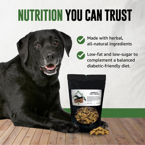 Old Dog Cookie Company Tiny Diabetic Dog Treats, All Natural, 2 Calorie, Vet Approved