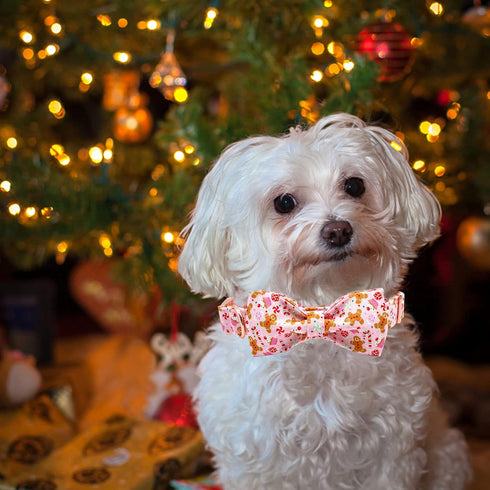 Elegant Little Tail Dog Collar with Bow - Christmas Gingerbread Man Adjustable Collar for X-Large Dogs
