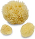 Sea Sponges for Dogs, Luxury Canine Bath Care for Pet Grooming