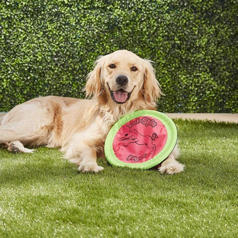 Booda Tail-Spin Flyer, 10" Diameter Floppy Dog Frisbee, Pack of 2