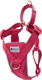 RC Pets Tempo No Pull Dog Harness, Small, Heather Azalea
