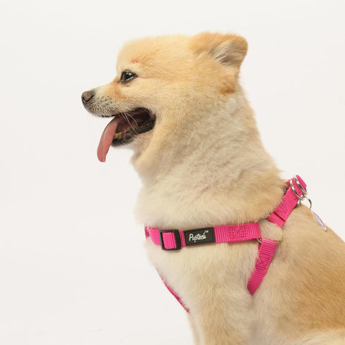 PUPTECK No Pull Dog Harness, Soft Adjustable Basic Nylon Step in Puppy Vest for Outdoor Walking, Deep Pink