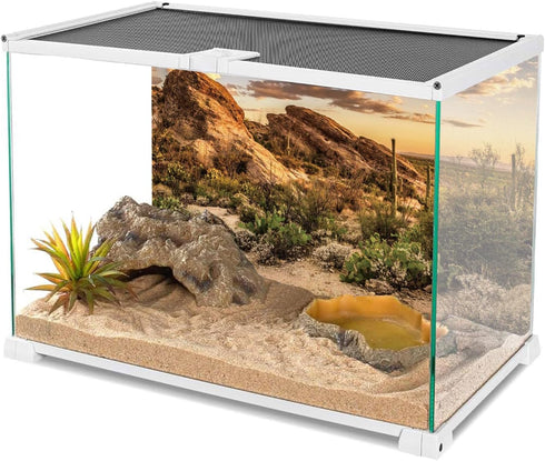AWERT 36x18 inches Terrarium Background, Blue Sky Oasis Cactus Sun and Desert for Reptile Habitat Polyester