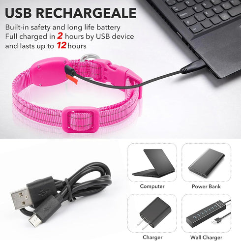 Light Up Collar for Small Dogs & Cats - Reflective LED Dog Collar for Nighttime Walking (Pink)