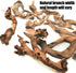 Hamiledyi 10 PCS Natural Driftwood Branches for Fish Tank Habitat Decor, Sinkable Reptile Tree Log Decorations