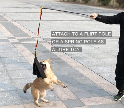 Dewonch Leather Bite Rag for Dog Training - K9 Puppy Toy for Building Prey Drive, Tug of War Game with Handle