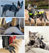 Dog Harness Mount for Gopro, Adjustable Soft Vest with 2 Mounting Bases for Gopro Hero, for Small Medium Large Dogs