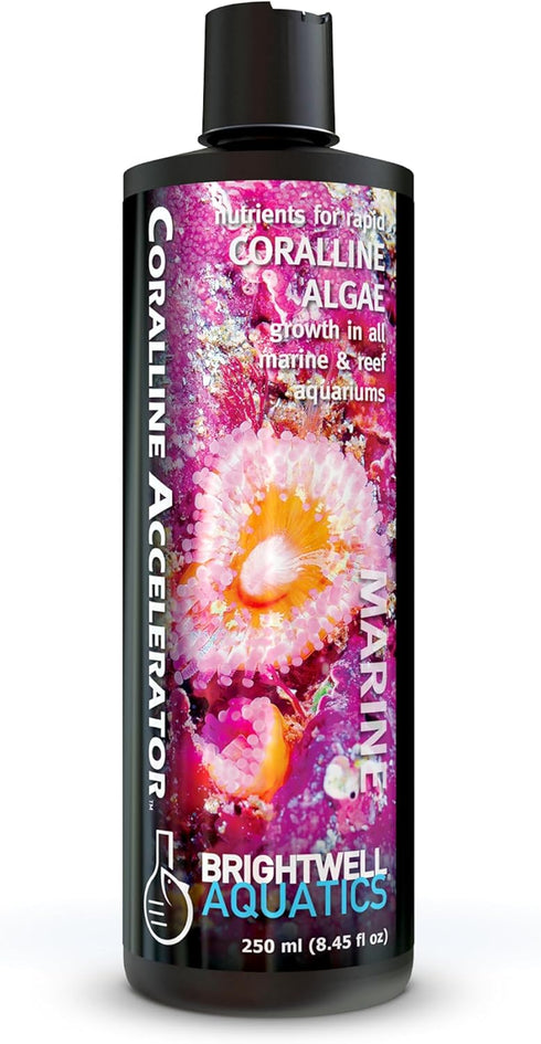 Brightwell Aquatics Coralline Accelerator, Multi-Nutrient Supplement for Marine and Reef Aquariums, 8.45 fl oz