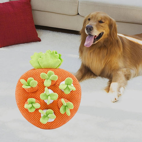 Leefasy 7 Funny Carrot Toys Hole Interactive Toys Decor for Indoor Cats Puppy
