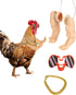 Funny Chicken Arms Toy - Chicken Peepers and Necklace Set for Pet Prank Role-Playing Costumes