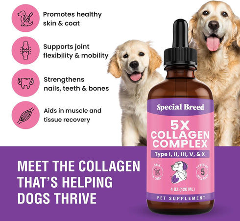 Immune 4oz Premium Collagen for Dogs - Liquid Support for Joints, Skin, Coat, Bone, System & HIPS - Collagen Supplement