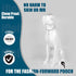 Chain Dog Collar - 15mm Silver Cuban Link with Snap Buckle, Silver Plated Stainless Steel, Includes Dog Tag & Bell (24")
