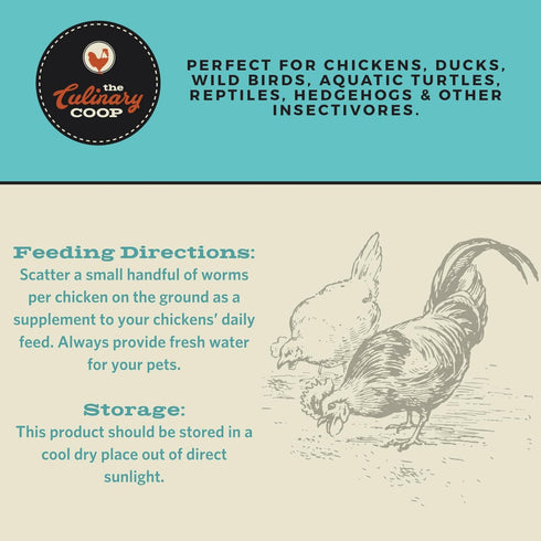 20 oz Fluker's Culinary Coop Premium Chicken Treats, Dried Insect Trail Mix
