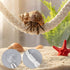 Tweruna 2 4 PCS Hermit Crab Climbing Toys, Hanging Hermit Crab Climbing Rope with Hooks, Reptile Tank Terrarium Toys