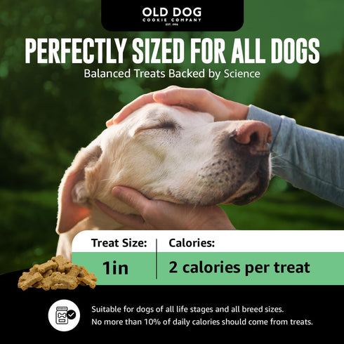 Old Dog Cookie Company Tiny Diabetic Dog Treats, All Natural, 2 Calorie, Vet Approved