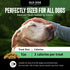 Old Dog Cookie Company Tiny Diabetic Dog Treats, All Natural, 2 Calorie, Vet Approved