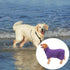 Geyecete Dog Bathrobe Towel, Fast Drying Super Absorbent Pet Bath Robe Towel for Dogs and Cats, Purple-M