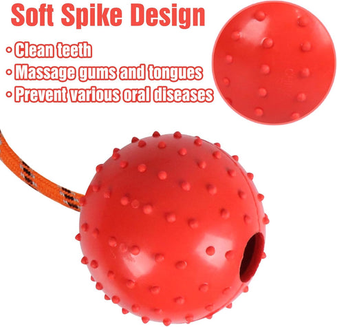 2 Pack Dog Ball, K9 Ball, Solid Rubber Ball on Rope for Reward, Fetch, Play (Blue and Red)