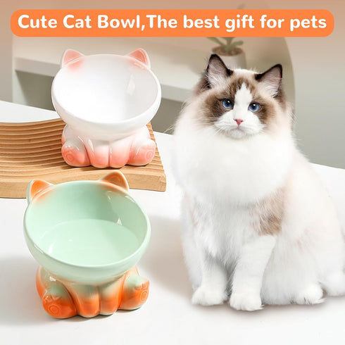 Elevated Cat Bowls, Whisker Friendly Tilted Ceramic Cat Bowls for Indoor Cats, Cute Gradient Color (White Pink)