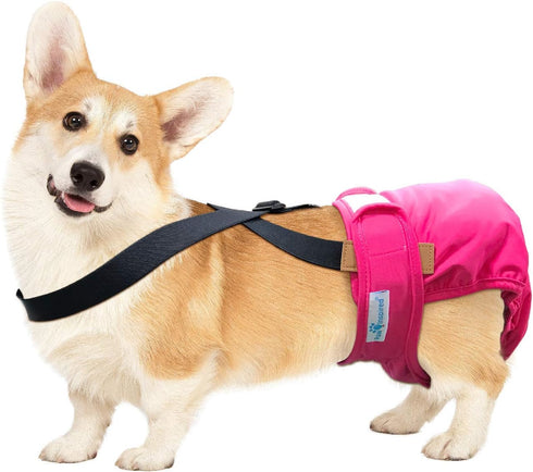 Paw Inspired Dog Diaper Suspenders - Adjustable Velcro Fasteners for Disposable and Washable Diapers (S/M, Black)