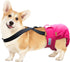 Paw Inspired Dog Diaper Suspenders - Adjustable Velcro Fasteners for Disposable and Washable Diapers (S/M, Black)
